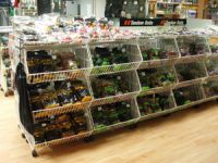 KAPRÁRSKY PROGRAM – BOILIES, PELETY, DIPY, BOOSTRE, ATRAKTORY, FARBIVÁ… KAPRÁRSKY PROGRAM – BOILIES, PELETY, DIPY, BOOSTRE, ATRAKTORY, FARBIVÁ…